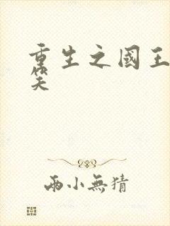 重生之国王的微笑