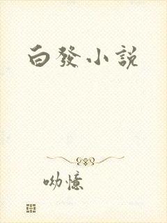 白发小说