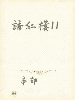 诱红楼11