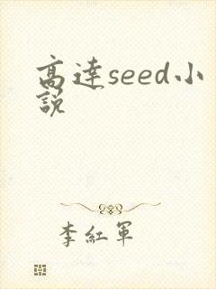 高达seed小说