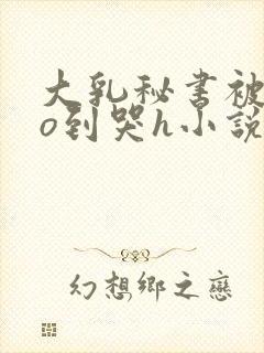 大乳秘书被cao到哭h小说