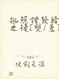 批照错发给情敌之后[双/产]