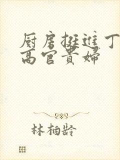 厨房挺进丁字裤高官贵妇