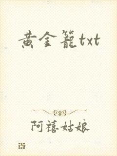 黄金笼txt