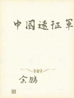 中国远征军小说