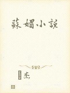 苏媚小说