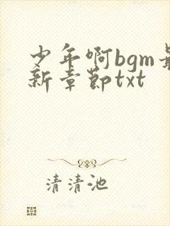 少年啊bgm最新章节txt