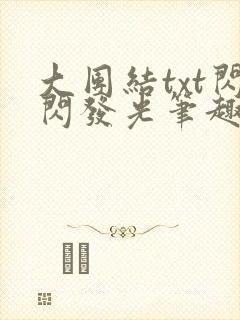 大团结txt闪闪发光笔趣阁