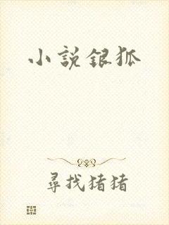 小说银狐