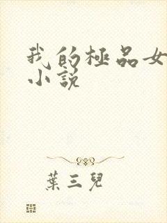 我的极品女老师小说