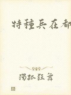 特种兵在都市