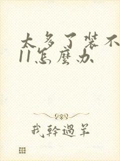 太多了装不下h11怎么办