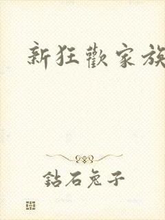 新狂欢家族小说