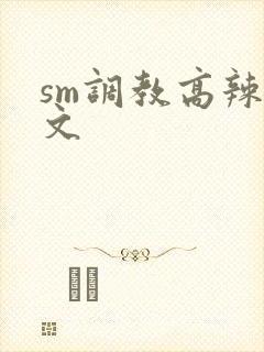 sm调教高辣h文