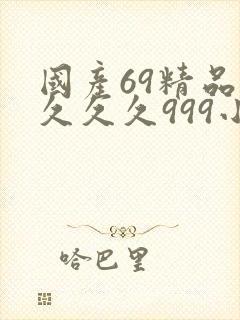 国产69精品久久久久999小说
