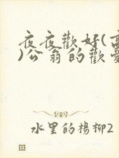 夜夜欢好(高h)公翁的欢爱