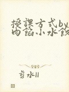 授课方式by 肉馅小水饺