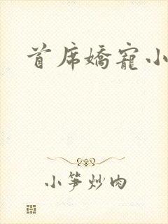 首席娇宠小情人