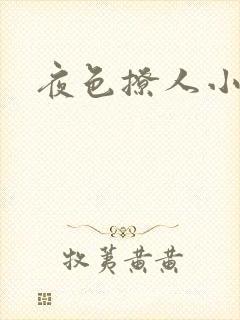 夜色撩人小说
