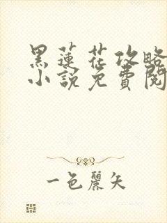 黑莲花攻略手册小说免费阅读全文