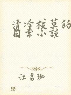 清冷校草的堕落日常小说