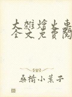 大杂烩火车小说全文免费阅读