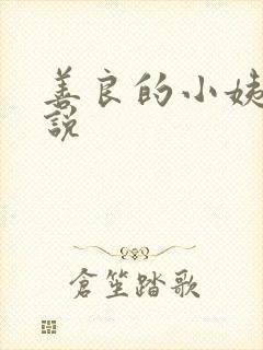 善良的小姨子小说