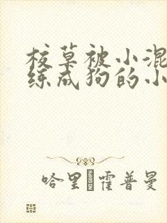 校草被小混混训练成狗的小说