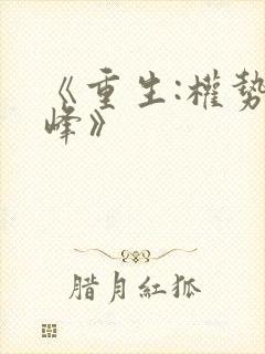 《重生:权势巅峰》