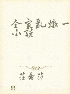 全家乱炖一锅烩小说