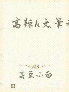 高辣h文笔趣阁