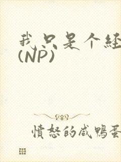 我只是个经纪人(NP)