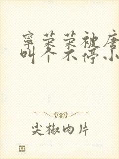 宁荣荣被唐三桶叫个不停小说