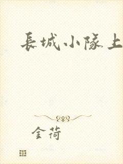 长城小队上中下