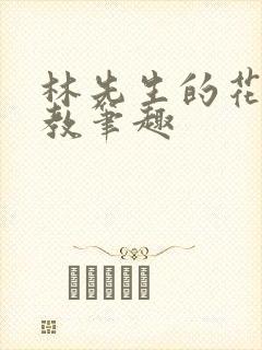 林先生的花式管教笔趣