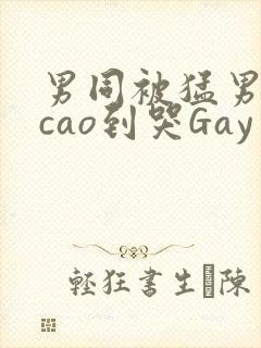男同被猛男房东cao到哭Gay