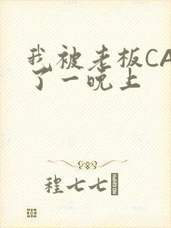 我被老板CAO了一晚上