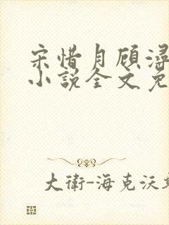 宋惜月顾浔渊的小说全文免费阅读