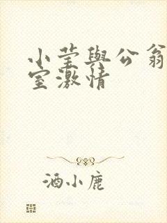 小莹与公翁办公室激情