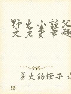 野火小说父女全文免费笔趣阁