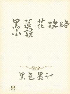 黑莲花攻略手册小说