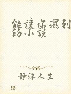 能让你湿到不行的小说