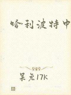 哈利波特中文版