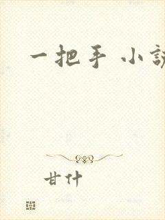 一把手 小说
