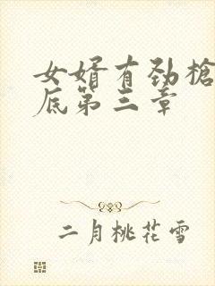 女婿有劲枪枪到底第三章