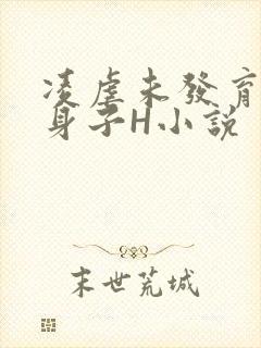 凌虐未发育的小身子H小说