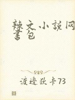辣文小说网第二书包