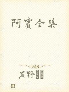 阿宾全集