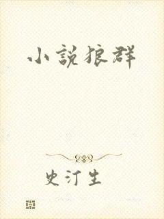 小说狼群