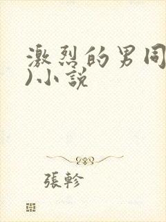 激烈的男同(h)小说